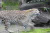 20230219084337-DSCN5310.JPG