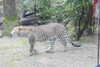 20230219084350-DSCN5311.JPG