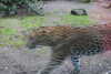 20230219084452-DSCN5314.JPG