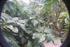 20230219085321-DSCN5318.JPG
