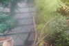20230219085452-DSCN5319.JPG
