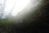 20230219085744-DSCN5321.JPG
