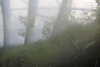 20230219085825-DSCN5322.JPG