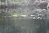 20230219091108-DSCN5326.JPG