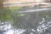 20230219091551-DSCN5335.JPG