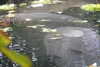 20230219091656-DSCN5338.JPG