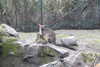 20230219092950-DSCN5344.JPG