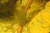 20230219093637-DSCN5363.JPG