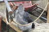 20230219094503-DSCN5376.JPG