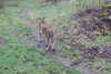 20230219100022-DSCN5382.JPG