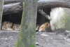 20230219100334-DSCN5386.JPG