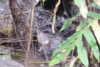 20230219105613-DSCN5425.JPG