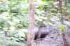 20230219105634-DSCN5426.JPG