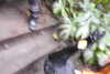20230219105823-DSCN5428.JPG
