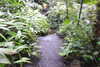 20230219105954-DSCN5429.JPG