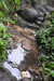 20230219110023-DSCN5430.JPG