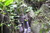 20230219110039-DSCN5431.JPG