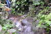 20230219110106-DSCN5432.JPG