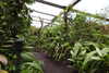 20230219110155-DSCN5435.JPG