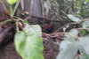 20230219110937-DSCN5440.JPG