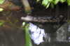 20230219111051-DSCN5441.JPG
