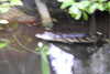 20230219111054-DSCN5442.JPG