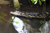 20230219111112-DSCN5444.JPG