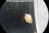 20230219111518-DSCN5452.JPG