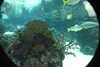 20230219111817-DSCN5460.JPG