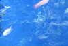 20230219112012-DSCN5464.JPG