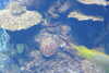 20230219112019-DSCN5465.JPG
