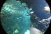 20230219112055-DSCN5467.JPG