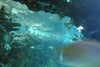 20230219112111-DSCN5469.JPG