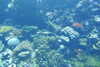 20230219112144-DSCN5470.JPG