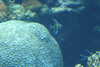 20230219112202-DSCN5474.JPG
