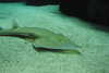 20230219112227-DSCN5476.JPG