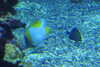 20230219112255-DSCN5479.JPG