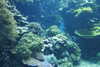 20230219112346-DSCN5485.JPG