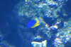 20230219112415-DSCN5487.JPG