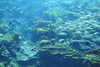 20230219112529-DSCN5493.JPG