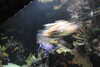 20230219112617-DSCN5495.JPG