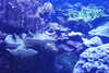 20230219112654-DSCN5498.JPG