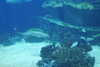 20230219112817-DSCN5502.JPG