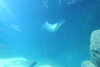 20230219113512-DSCN5513.JPG