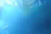20230219113517-DSCN5514.JPG