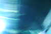 20230219113615-DSCN5516.JPG