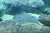 20230219113643-DSCN5517.JPG