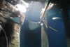 20230219113702-DSCN5518.JPG
