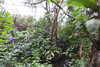 20230219113916-DSCN5519.JPG