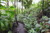 20230219114135-DSCN5524.JPG